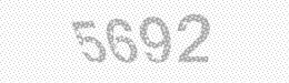Visual security code — type the characters shown in the image